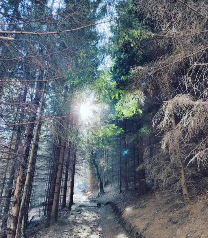 La Perla Di Bre' Daire Lugano Dış mekan fotoğraf